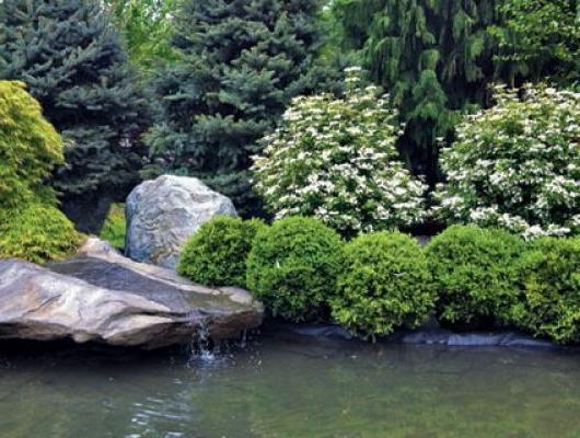 Landscape by Select Horticulture, Inc.